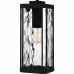 Balchier Outdoor Lantern