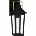 Buckley Outdoor Lantern