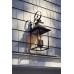 Chancellor Outdoor Lantern