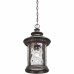 Chimera Outdoor Lantern