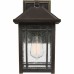 Cedar Point Outdoor Lantern