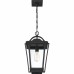 Darius Outdoor Lantern