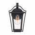 Darius Outdoor Lantern