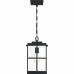 Mulligan Outdoor Lantern