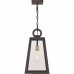 Poplar Point Mini Pendant