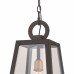 Poplar Point Mini Pendant