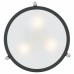 Rigel Semi-Flush Mount