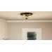 Radius Flush Mount