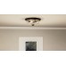 Radius Flush Mount