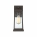 Ravenel Outdoor Lantern