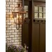 Rue De Royal Outdoor Lantern