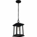 Satterfield Outdoor Lantern