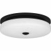 Tavani Flush Mount