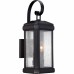 Trumbull Outdoor Lantern