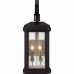 Trumbull Outdoor Lantern